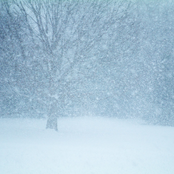 Brooklyn Blizzard (The Thump Sessions)