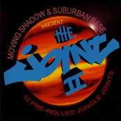 The Joint II