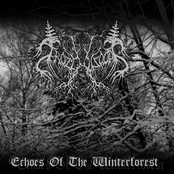 Echoes Of The Winterforest by Frozenwoods