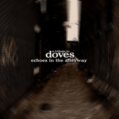 Echoes In The Alleyway: A Tribute to Doves [Disc 2]