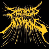 MARGIN to Cask of Bathory