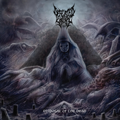 Defeated Sanity: Disposal Of The Dead // Dharmata