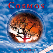 Moments by Cosmos