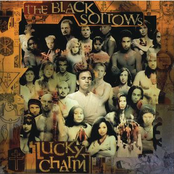 Kiss From A Cage by The Black Sorrows