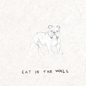 Cat In The Wall: Cat in the Wall II - EP