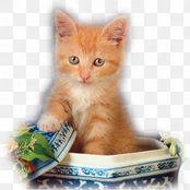 NONAMEFEST / HUSTLAFEST