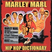 Hip Hop Dictionary Introduction by Marley Marl