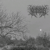 Malinconico Suicidio