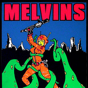 Halo Of Flies by Melvins