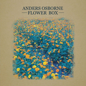 Anders Osborne: Flower Box