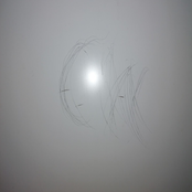 The Dance of Cat and Mouse