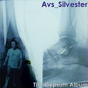 The Gypsum Album