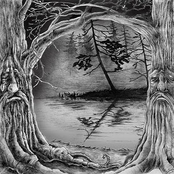 tam, gde dremlyut lesa...