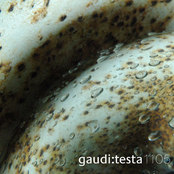 Gaudi:testa