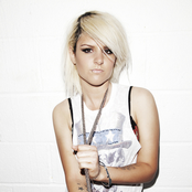 christina novelli