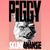 Piggy cover
