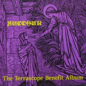 Succour: The Terrascope Benefit Album