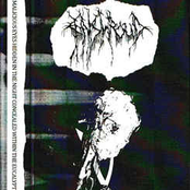 Malicious Eyes Hidden in the Night Concealed Within the Eucalyptus Canopy