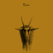 Perish by Trees