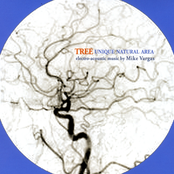 Tree: Unique Natural Area