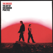 The Dreggs: The Art of Uncommon Practice