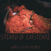 What's Left Of The Body