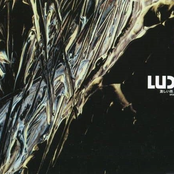 激しい雨 / Around