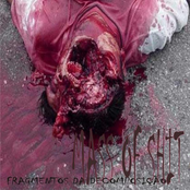 Fragmentos Da Decomposição