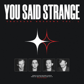 You Said Strange: Thousand Shadows Vol.2