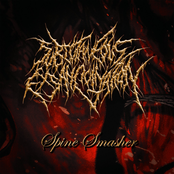 Spine Smasher