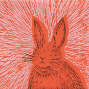 You're All The Fucking Best: Anti-Gravity Bunny 5 Year Anniversary Compilation