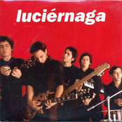 Luciérnaga