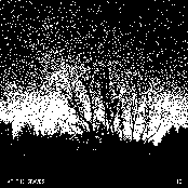 ii