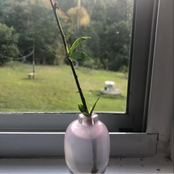 Change Room - Single