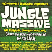 Jungle Massive