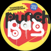 Punch Bag