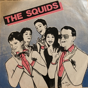 The Squids