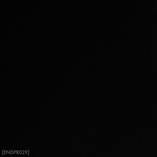 LDN / Nightshade [ENDPR029]