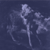 Her New Knife: Destroza