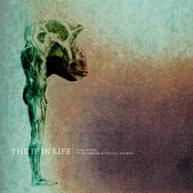 Four Steps to becoming a social animal