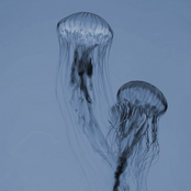 Orion E.P.