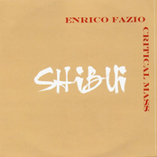Shibui