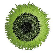 Colored Lights: Ashes