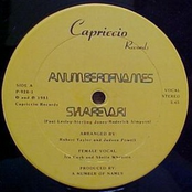 Sharevari (instrumental) by A Number Of Names