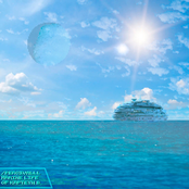 Marine Life of the Kapteyn B