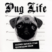 Pug Life-Split