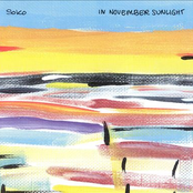 In November Sunlight by Soko