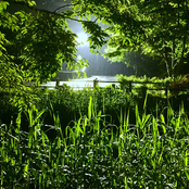 mipyokopyoko / mupyokopyoko