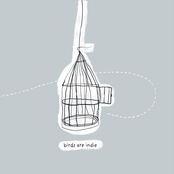 'Love Birds, Hate Pollen' EP