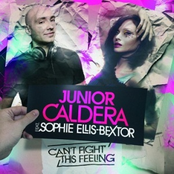 Can't Fight This Feeling (Single)